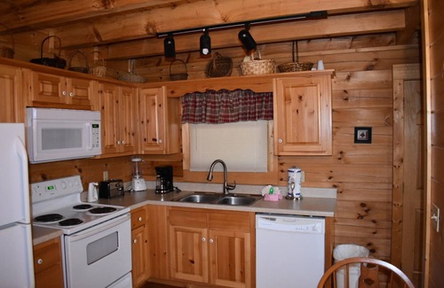 Pigeon Forge Cabin | Wild Thang Perfect for Your Summer Vacation!