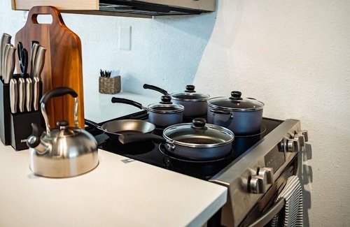 Texas Medical Center Apartment | Wild West Med Center/NRG/Rice Village 2 bd apt !