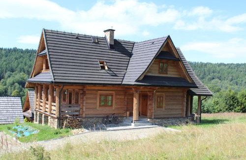 Ustrzyki Dolne Villa | Wilk u Drzwi