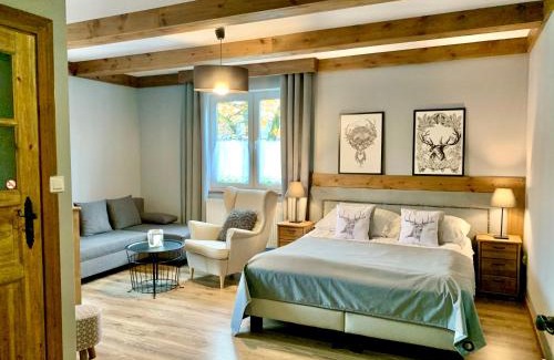 Ustron Villa | Willa Donia