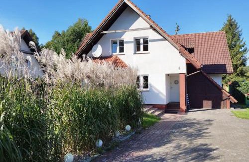 Debki House | Willa Maria