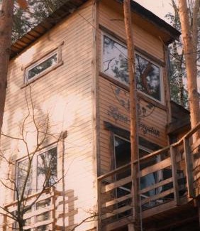 gmina Kamionka Cabin | Willa na Drzewie