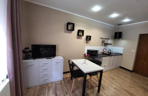 Klodzko Miasto Apartment | Willa przy Czarnej Bramie