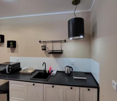Klodzko Miasto Apartment | Willa przy Czarnej Bramie