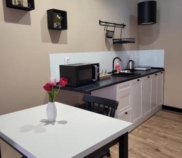 Klodzko Miasto Apartment | Willa przy Czarnej Bramie