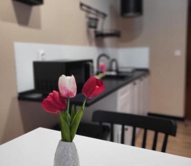 Klodzko Miasto Apartment | Willa przy Czarnej Bramie