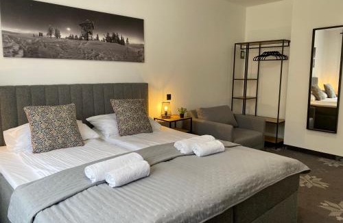 Wisla Hotel | Willa Torfowa