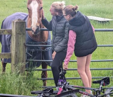 Edwinstowe House | Willow's Cottage