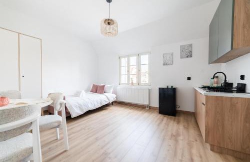 Grunwald Apartment | Wilson Park Serene Studios by BookingHost