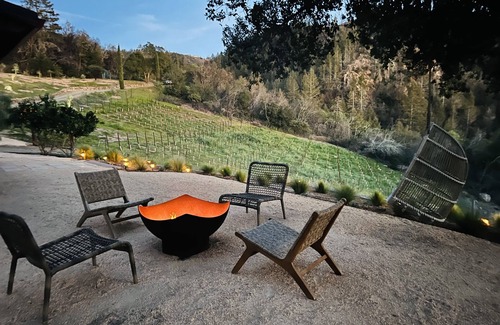 Glen Ellen Villa | Wine country Estate, Heated Pool, private vineyard and Olive Farm