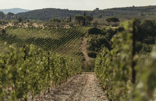 Castelnuovo Berardenga Villa | Wine Resort Campacci