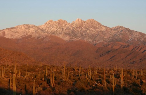 Winfield Place Hotel | Winfield Place TBD