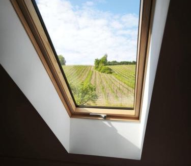 Ryglice House | Winnica Kosmos
