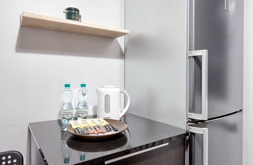 Stare Miasto District Apartment | Winogrady Loft Apartment