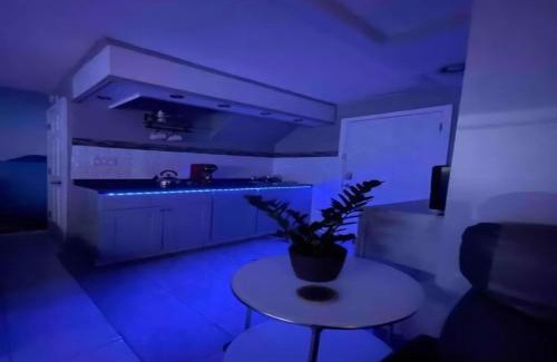 Georgetown Apartment | Winter Getaway in Brooklyn Private Room, Bath, Kitchen & Backyard