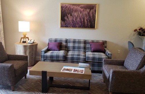 Boyne Falls Condo | Winter Ski Holiday at Boyne Mountain - Cozy Luxury Villa