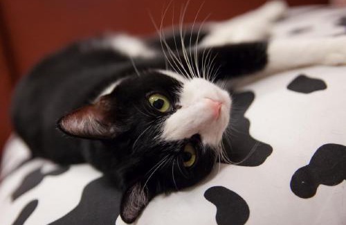 Donggang Bed & Breakfast | Wish Dream