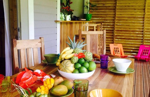 Riviere-Pilote Villa | Wodyetia villa is named after one of the palm trees you will find in the garden