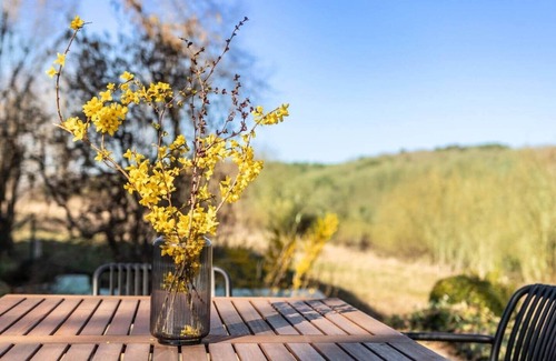 Bermel Apartment | Wohnen zwischen Himmel und Wald