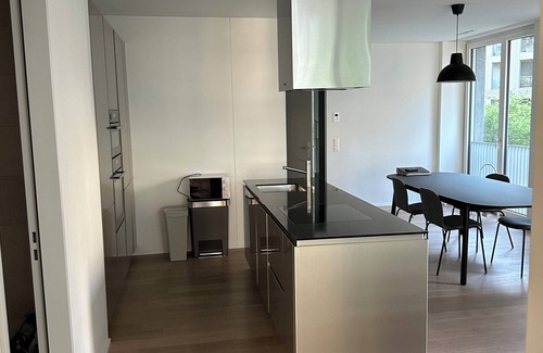 Escher Wyss Apartment | Wohnung im Trendquartier Zentral - 24-7 Check-in With Keybox