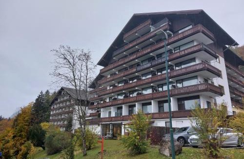 Bad Goisern Apartment | Wohnung in Bad Goisern