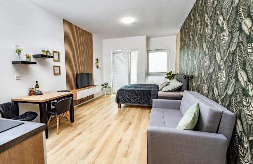 Olomouc Apartment | Wolkerovka Apartment 2