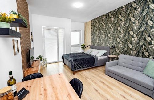 Olomouc Apartment | Wolkerovka Apartment 2