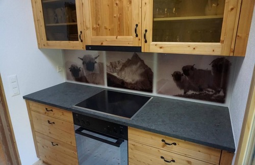 Reichenbach Ski Chalet | Wollhaus Oberzwirgi 6-bed flat