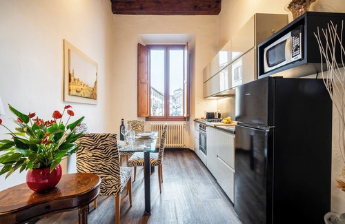 Santo Spirito Apartment | WONDERFUL VIEW San Frediano - Carmine