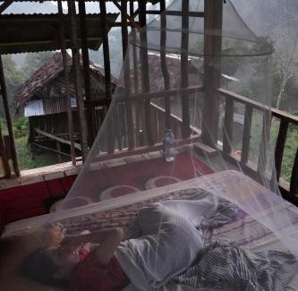 Bukit Lawang House | WOOD CABIN LODGE IN THE FOREST book here treking with us
