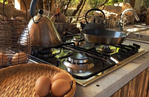Sanalvo Cottage | Wooden cottage in the woods a few kilometers from the sea Secret Sardinia