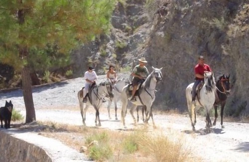 Barig Cottage | Wooden cabins and bungalows La Falaguera for 4 people