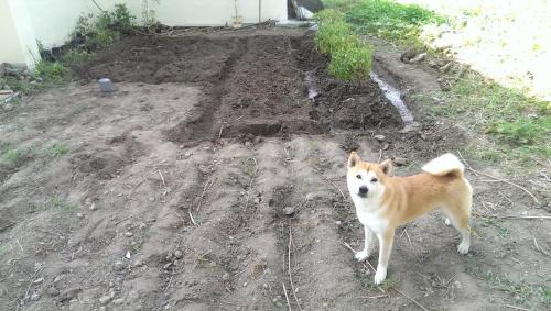 Chenggong Bed & Breakfast | Woodenfish