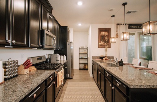 North Natomas House | Worldly ~ Whimsical ~ Wonderful