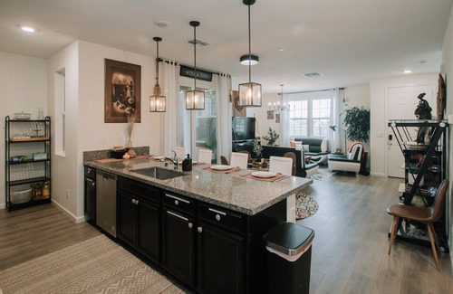 North Natomas House | Worldly ~ Whimsical ~ Wonderful