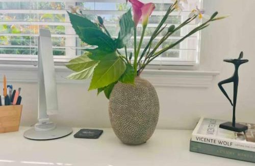 Willow Glen South - Lincoln Glen House | Wow! Great Location! Best 4 BR 3 BA House for Family Reunion Wedding Work Group