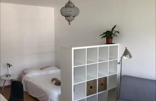 Plainpalais Apartment | wrong annonce
