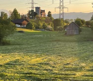 Wolfurt Apartment | WS Ferienwohnung 1
