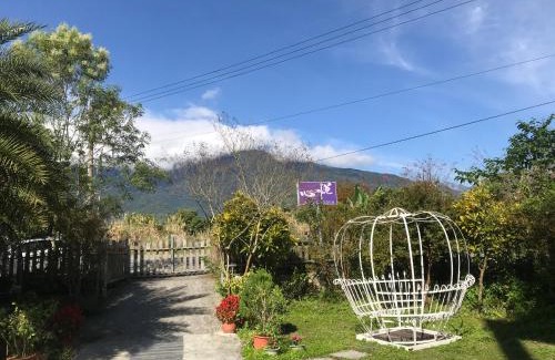 Fenglin Bed & Breakfast | Xinyue B&B
