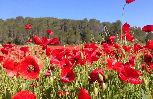 Saint-Antonin-du-Var Villa | xxxxxxxxxxxxxxxxxxxxx