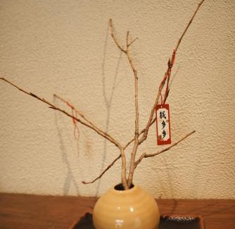 Gucheng Hotel | year after year