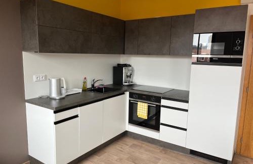 Brno-stred Apartment | Yellow apartment Deluxe