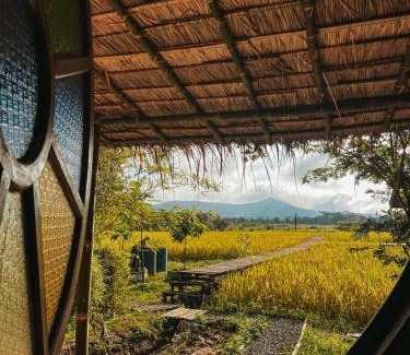 Mueang Ngai Other | Yidan Farmstay in Chiang Dao