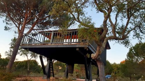 Grandola Cabin | Ying Yang Monte da Lua