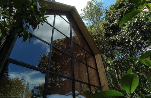Rionegro Other | Yolo Campestre
