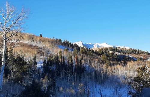 Elk Meadows House | YOUR ROCKY MOUNTAIN VACATION...awaits you!