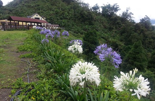 Fanlu House | Yun Waterfall Valley Homestay