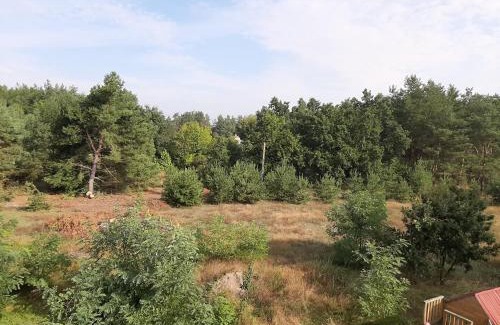 Wolka Smolana House | Zacisze u Rysia