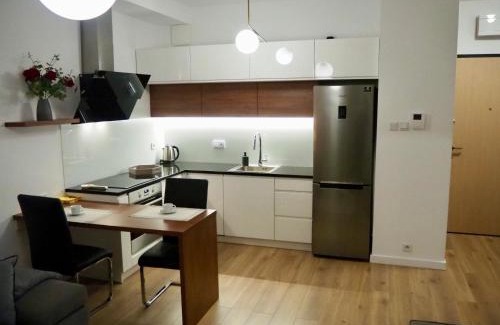Wilanow Apartment | Zdrowa Apartment in Wilanów