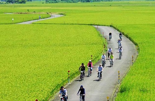 Dongshan House | Zebra Babala B&B